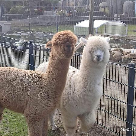 De Dierenweiden Goedereede Екстер'єр фото