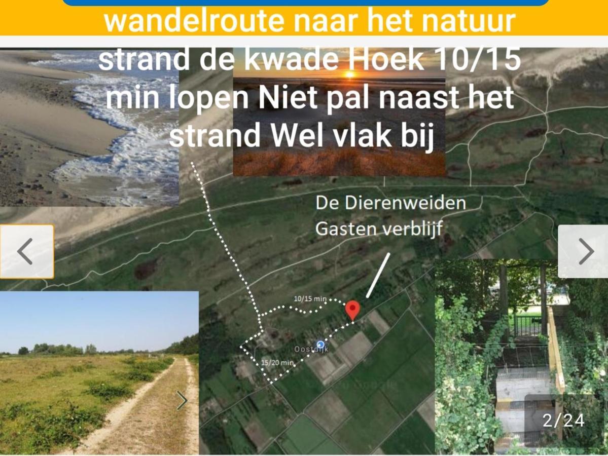 De Dierenweiden Goedereede Екстер'єр фото