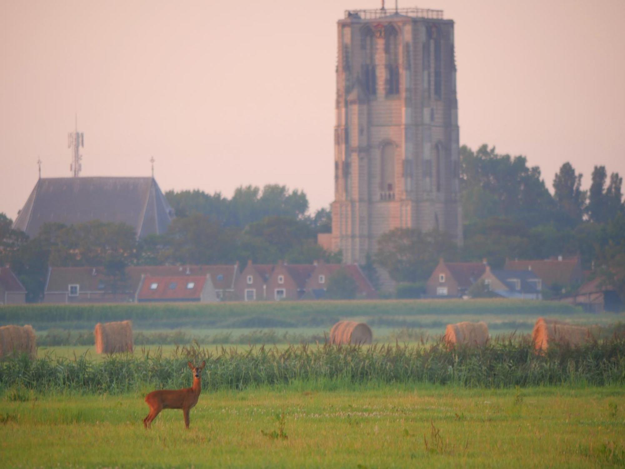 De Dierenweiden Goedereede Номер фото